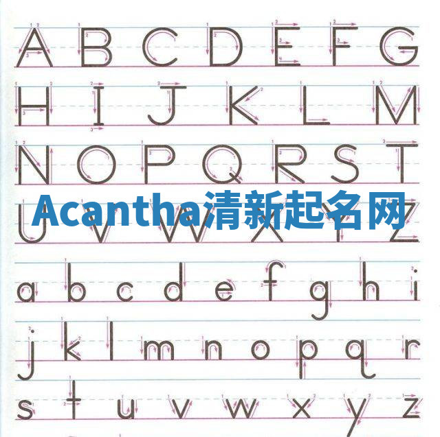 Acantha清新起名网
