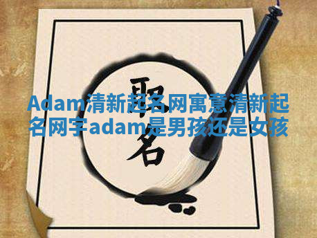 Adam清新起名网寓意 清新起名网字adam是男孩还是女孩