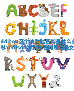 Addison这个清新起名网是什么意思_addison清新起名网是男是女 Addison这个清新起名网是什么意思_addison清新起名网是男是女