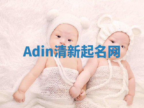 Adin清新起名网 Adin清新起名网