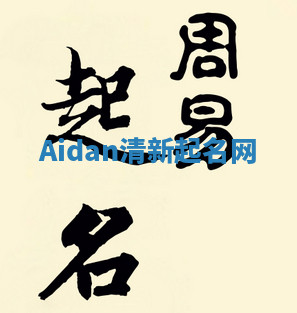 Aidan清新起名网