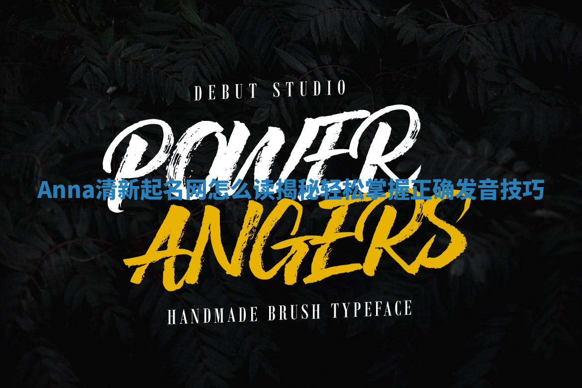 Anna清新起名网怎么读揭秘 轻松掌握正确发音技巧