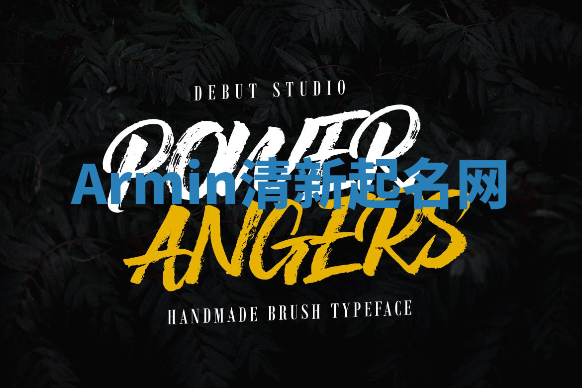 Armin清新起名网