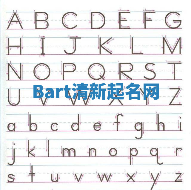 Bart清新起名网
