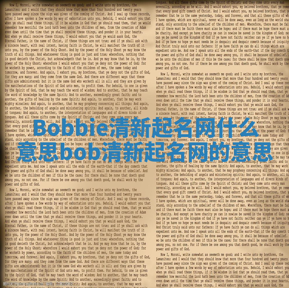 Bobbie清新起名网什么意思 bob清新起名网的意思