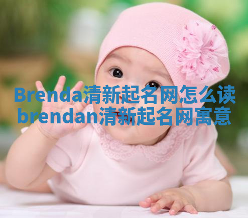 Brenda清新起名网怎么读_brendan清新起名网寓意