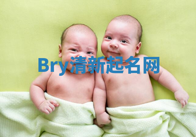 Bry清新起名网 Bry清新起名网