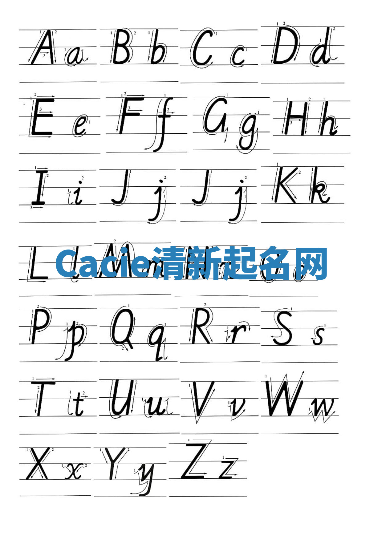 Cacie清新起名网