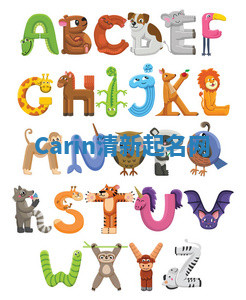 Carin清新起名网 Carin清新起名网