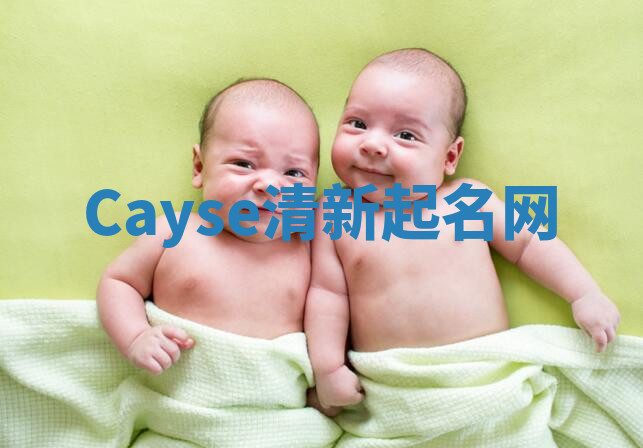 Cayse清新起名网