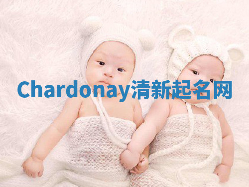 Chardonay清新起名网 Chardonay清新起名网