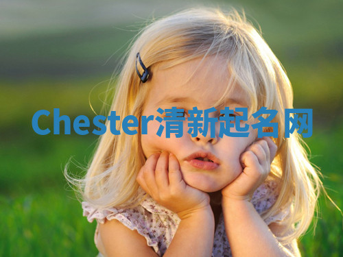 Chester清新起名网