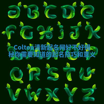 Colton清新起名网好不好揭秘 你需要知道的起名技巧和意义