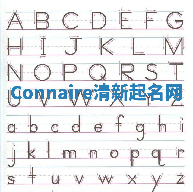 Connaire清新起名网