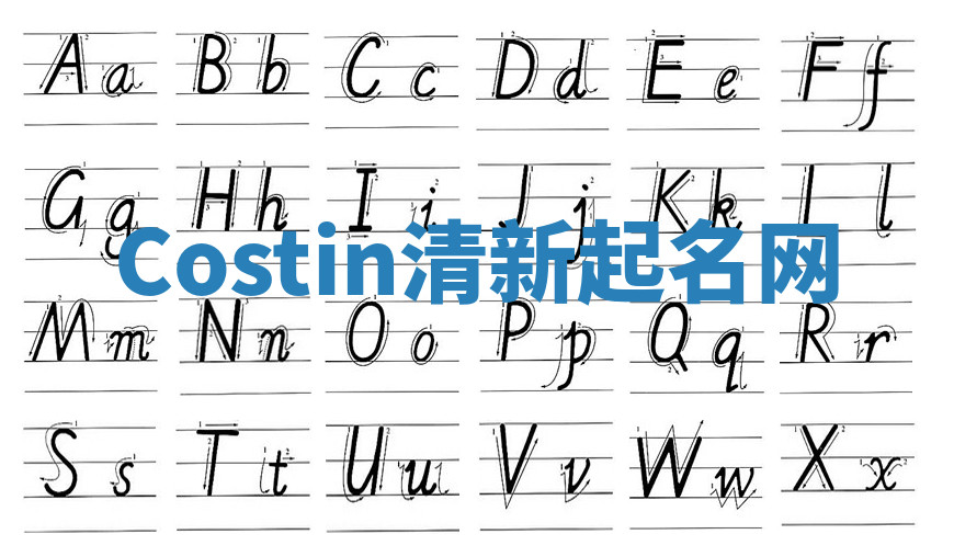 Costin清新起名网