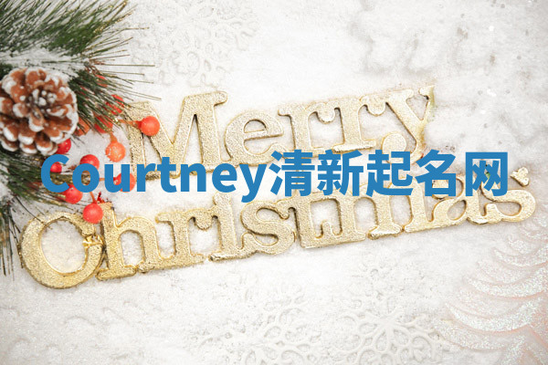 Courtney清新起名网