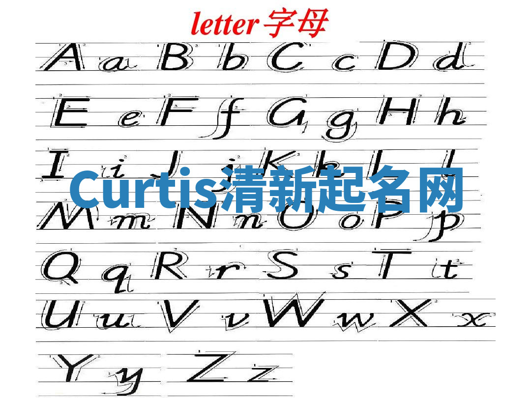 Curtis清新起名网 Curtis清新起名网