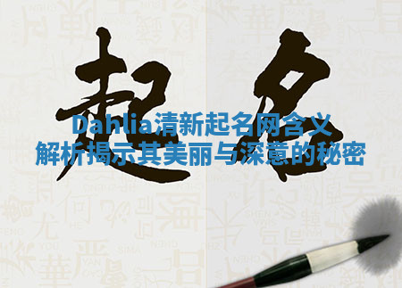 Dahlia清新起名网含义解析揭示其美丽与深意的秘密