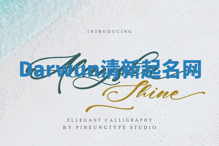 Darwun清新起名网