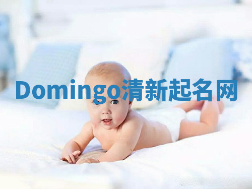 Domingo清新起名网