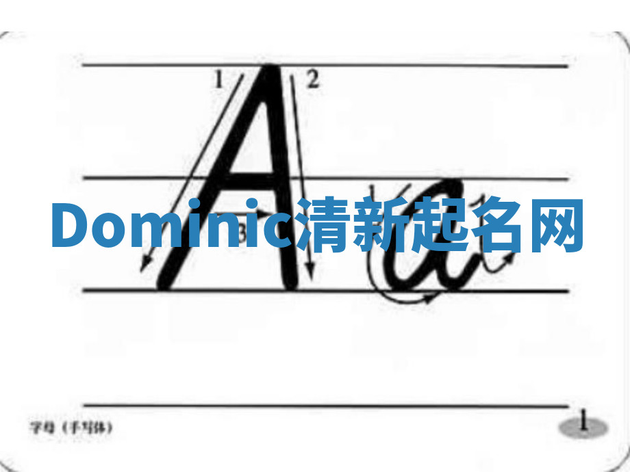 Dominic清新起名网 Dominic清新起名网