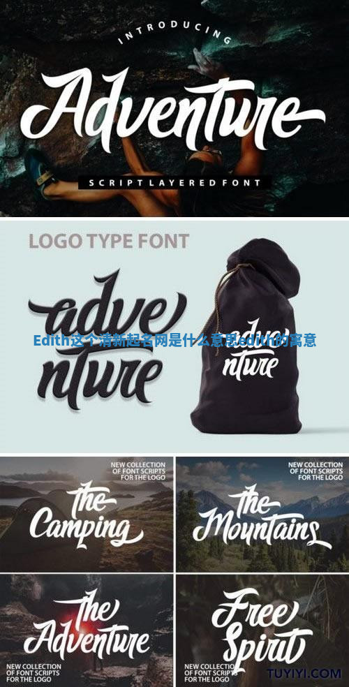 Edith这个清新起名网是什么意思_edith的寓意