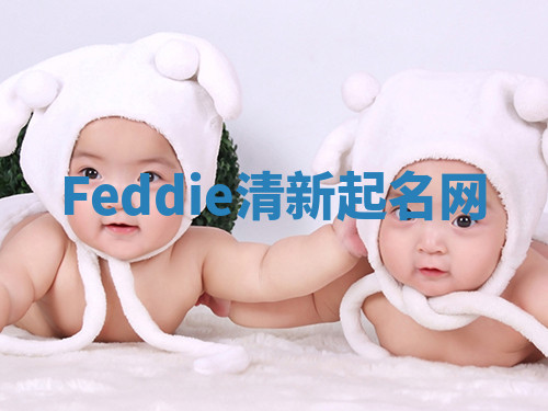 Feddie清新起名网