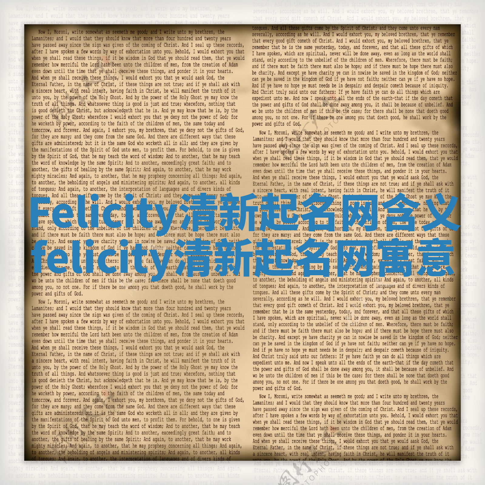 Felicity清新起名网含义_felicity清新起名网寓意