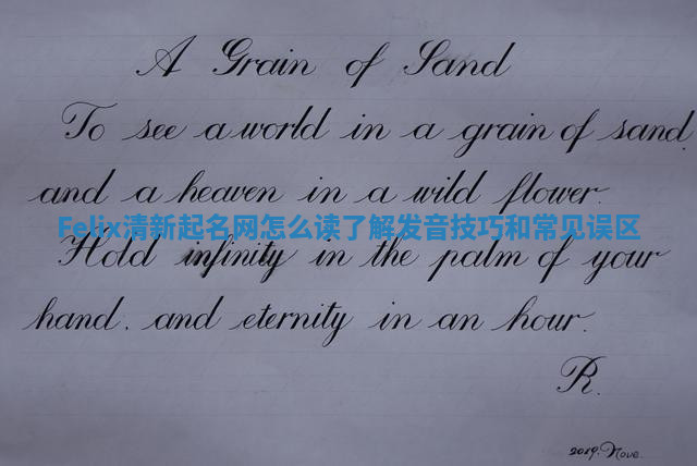 Felix清新起名网怎么读了解发音技巧和常见误区