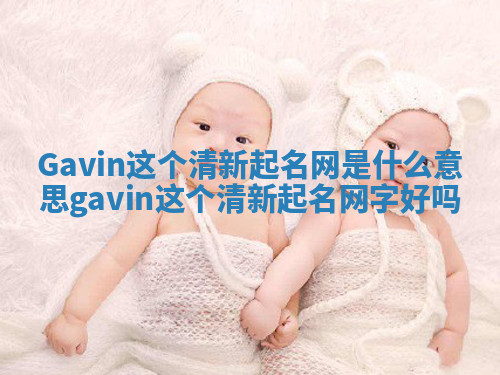 Gavin这个清新起名网是什么意思_gavin这个清新起名网字好吗