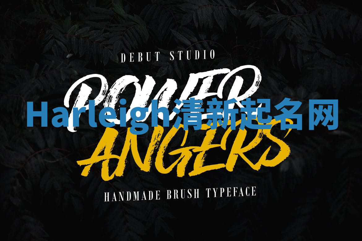 Harleigh清新起名网