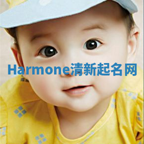 Harmone清新起名网 Harmone清新起名网