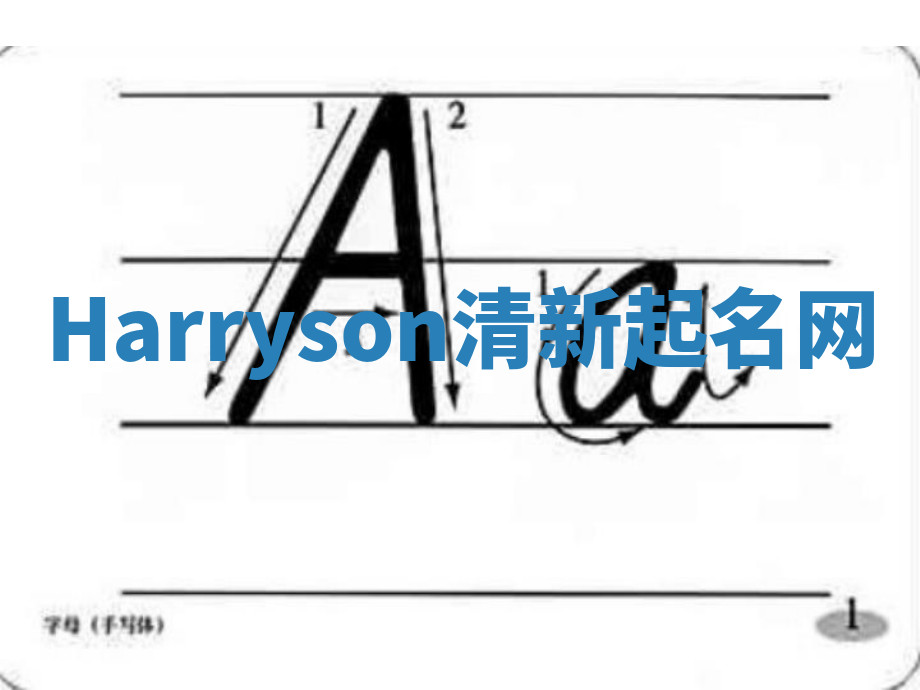 Harryson清新起名网