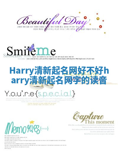 Harry清新起名网好不好 harry清新起名网字的读音