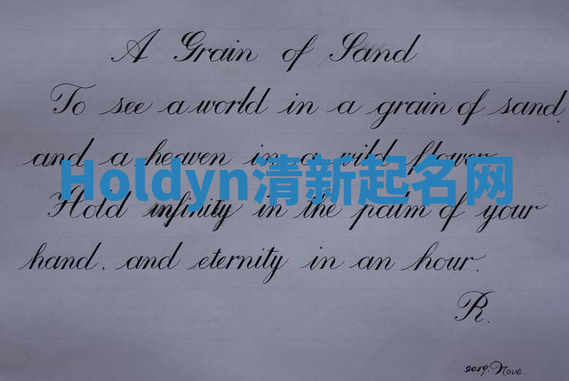 Holdyn清新起名网