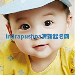 Indrapushpa清新起名网