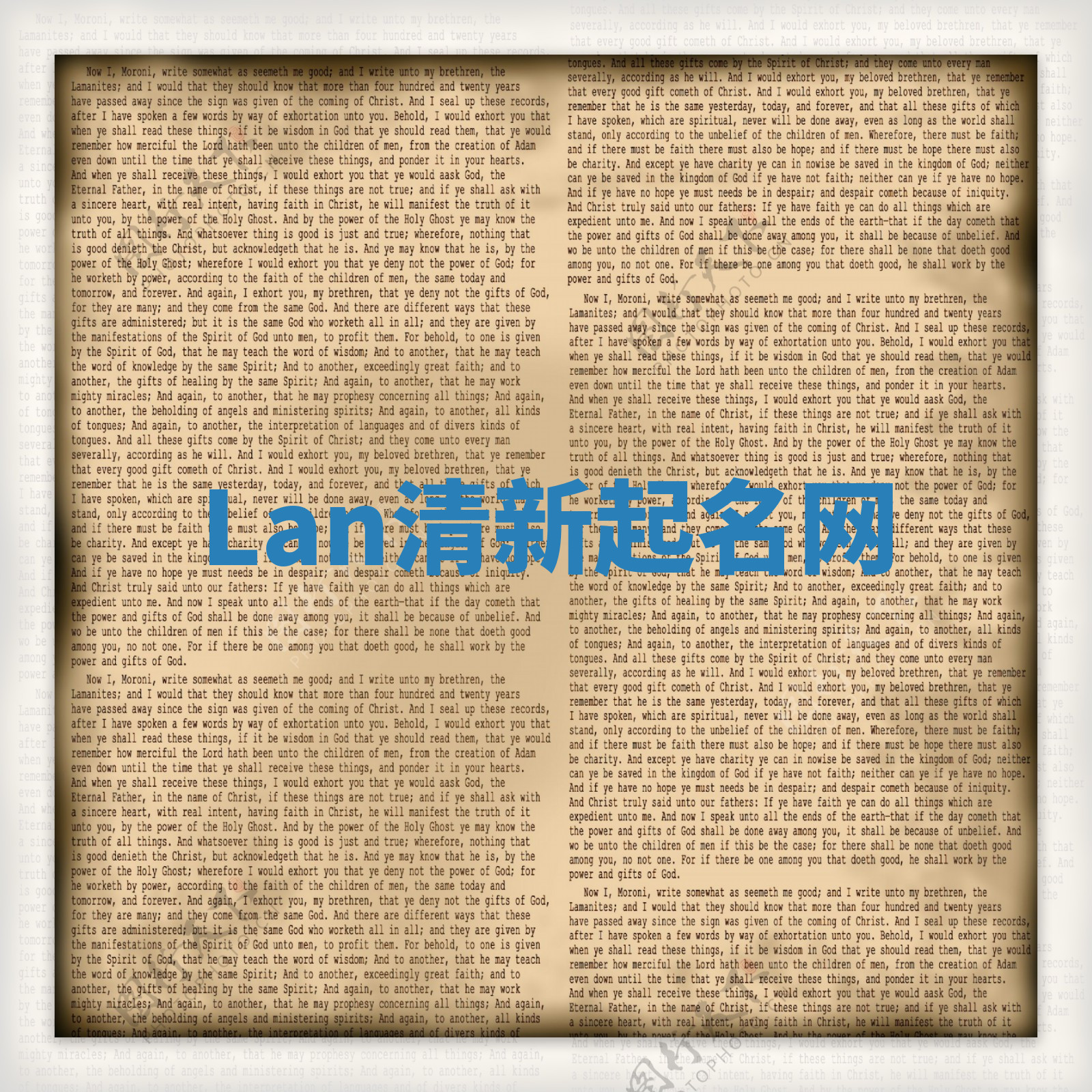 Lan清新起名网