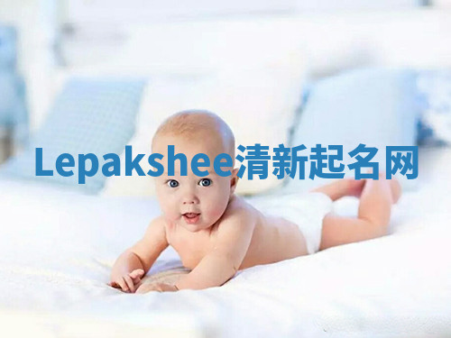 Lepakshee清新起名网
