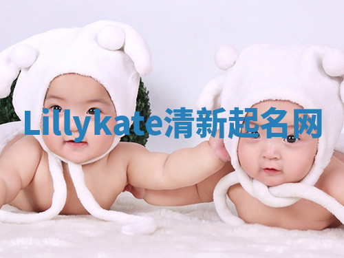 Lillykate清新起名网 Lillykate清新起名网