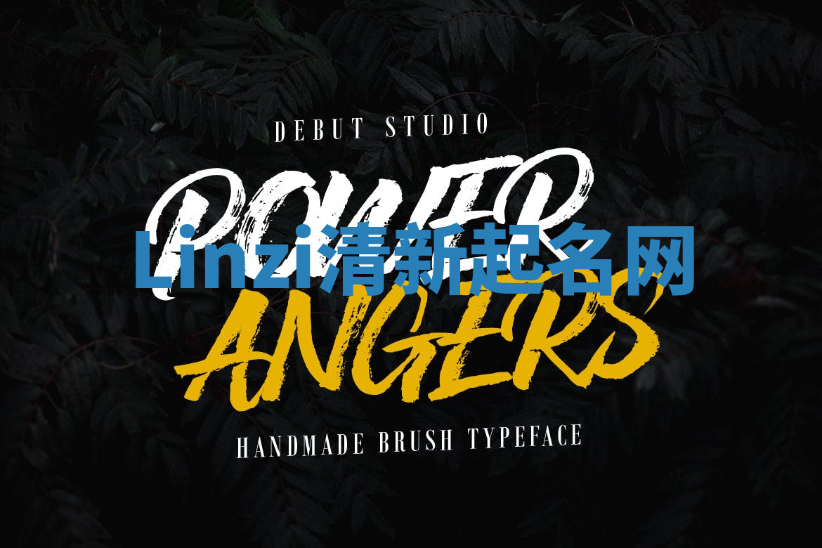 Linzi清新起名网