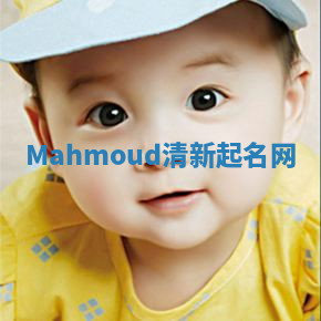 Mahmoud清新起名网 Mahmoud清新起名网