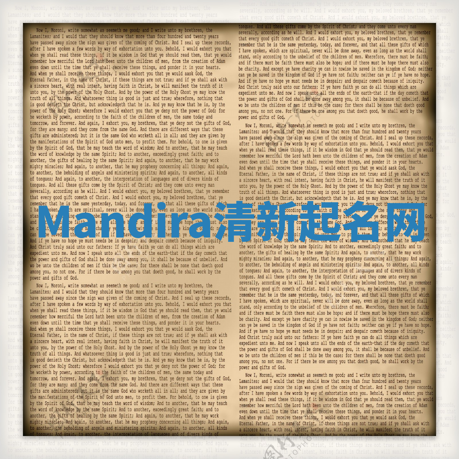 Mandira清新起名网