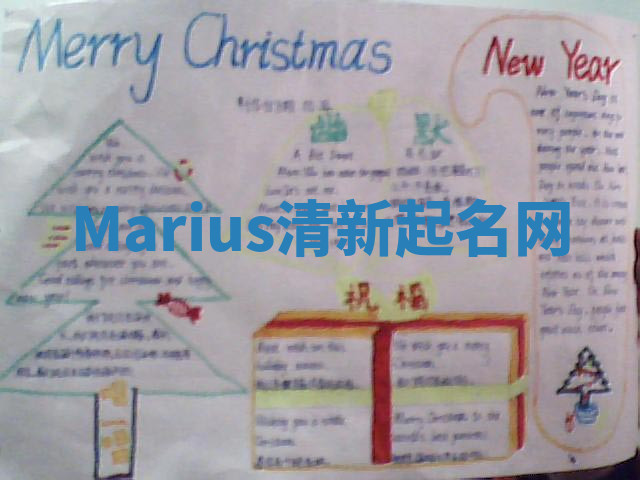 Marius清新起名网 Marius清新起名网