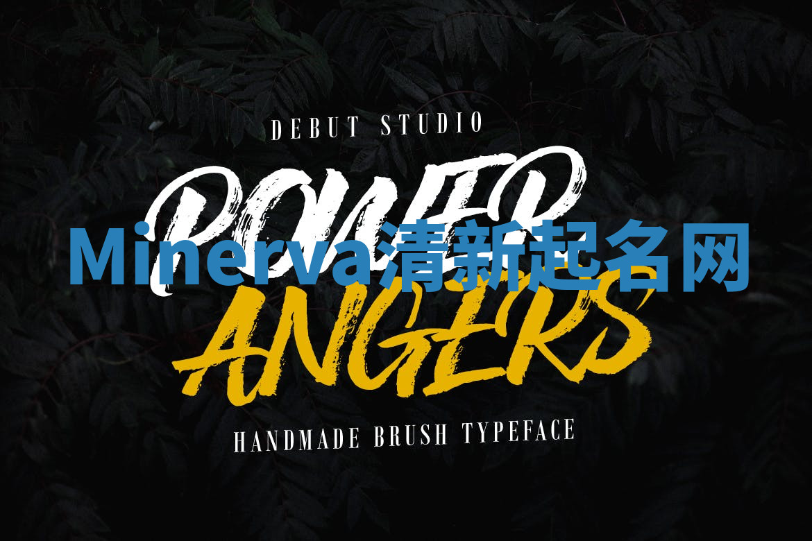 Minerva清新起名网 Minerva清新起名网