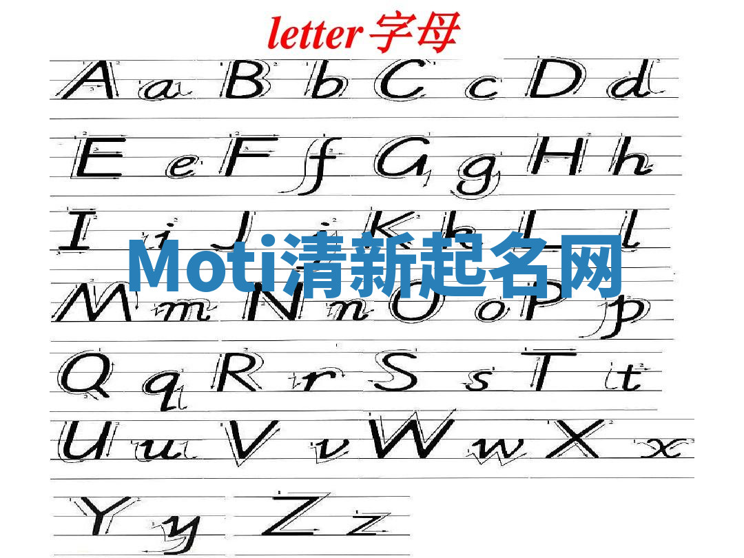 Moti清新起名网