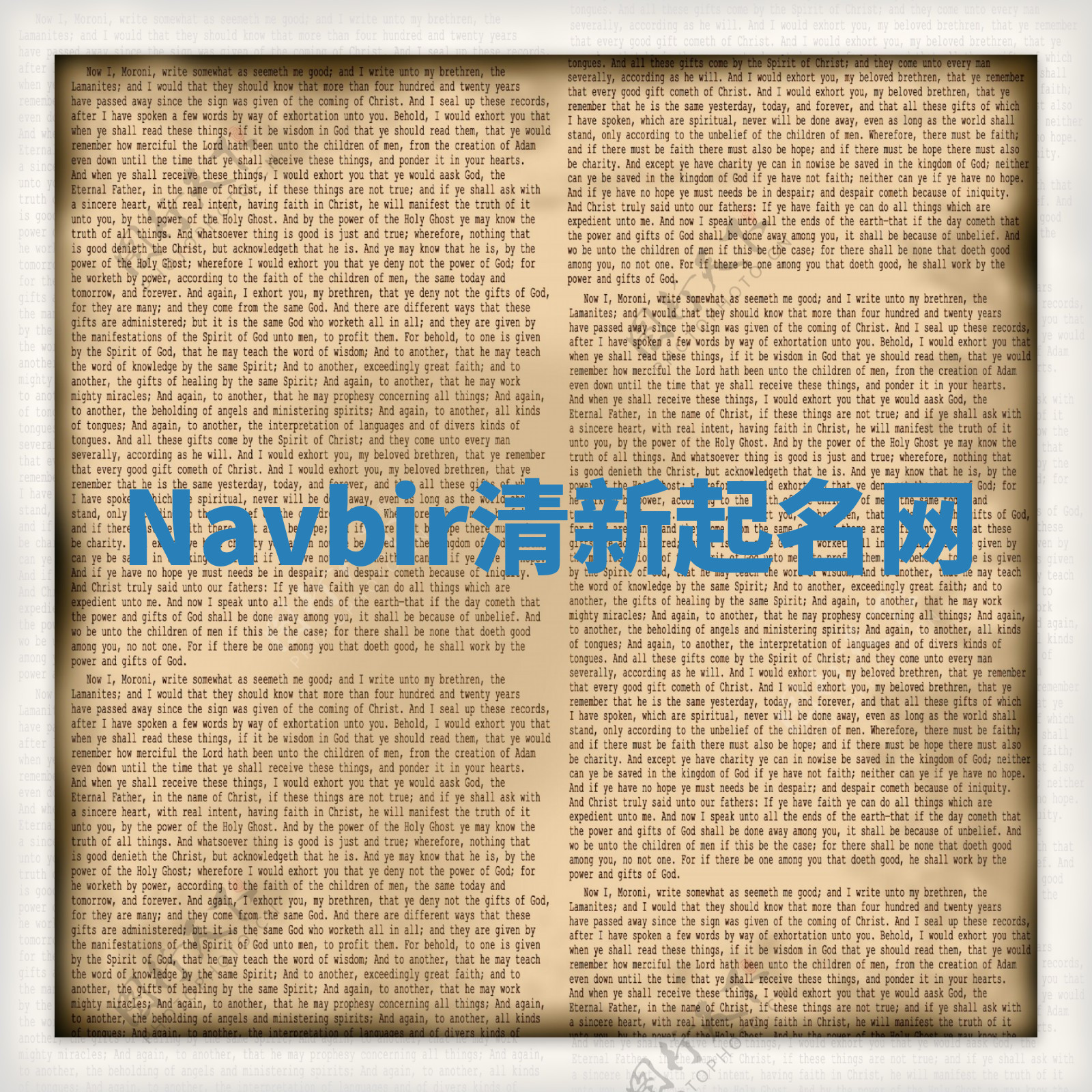 Navbir清新起名网