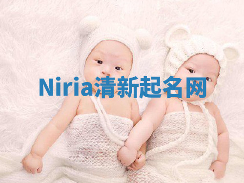 Niria清新起名网
