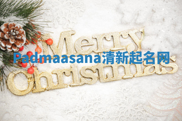 Padmaasana清新起名网 Padmaasana清新起名网