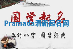 Pramada清新起名网