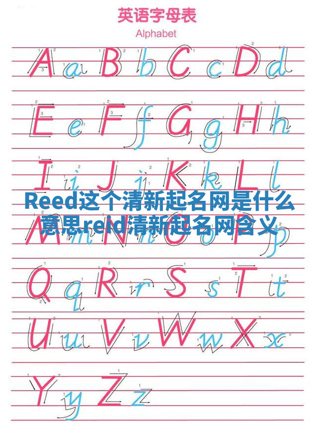Reed这个清新起名网是什么意思 reid清新起名网含义